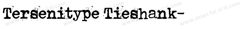 Tersenitype Tieshank字体转换